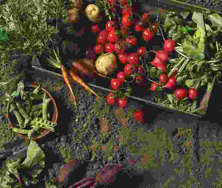 gallery item-6 portfolio6