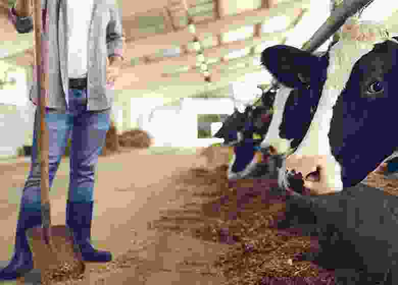 gallery item-7 portfolio7