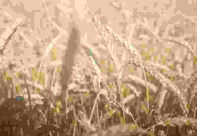 gallery item-2 portfolio2