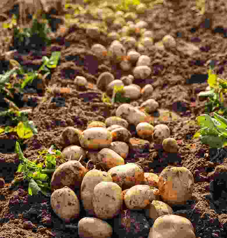 gallery item-5 portfolio9